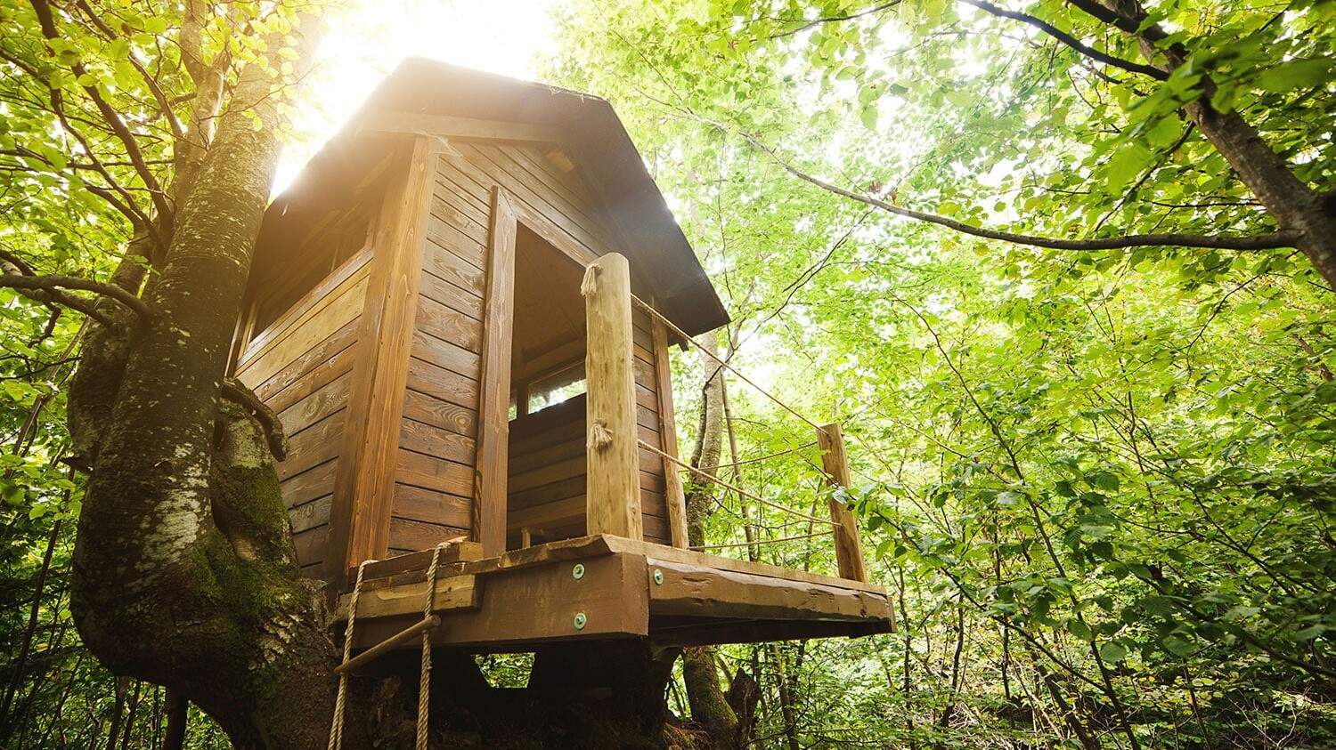 Tree House Supplies