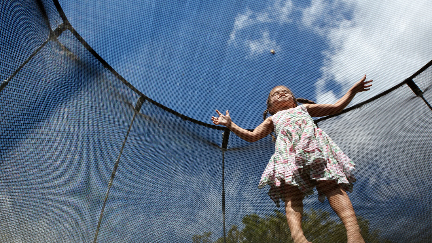 Trampoline Net