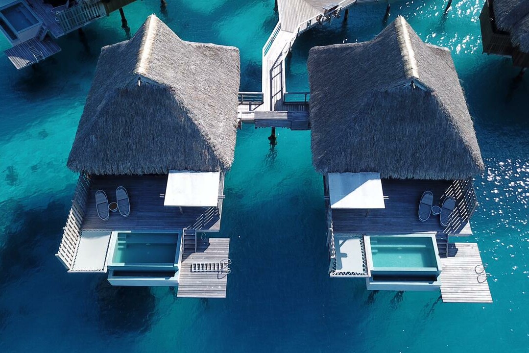 Filet bora bora feelnets