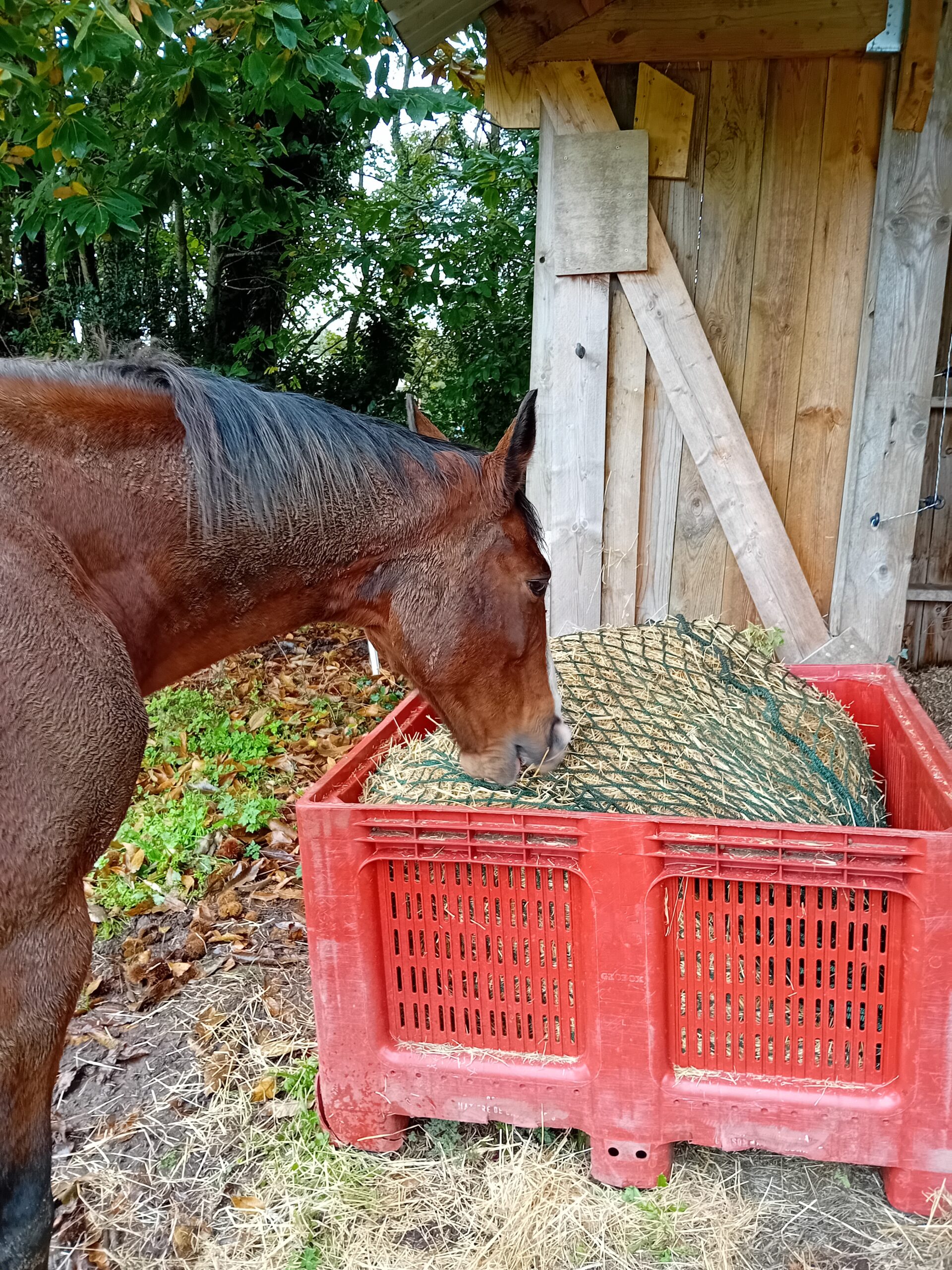Filets à foin pour palox