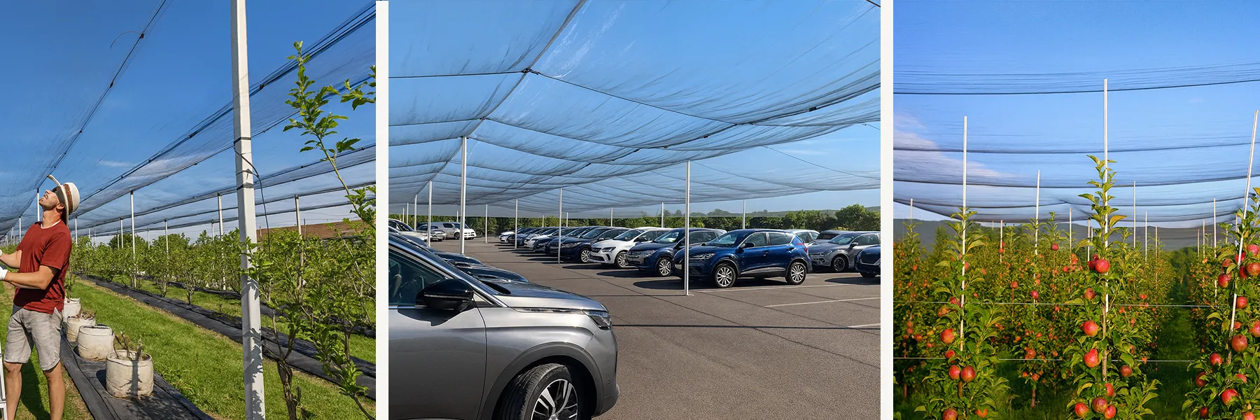 filets anti grêle agriculture et automobile